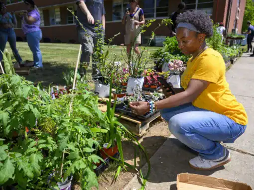 A woman in a yellow shirt squats by potted plants, examining one while holding a phone. In the background, groups of people engage with plants outside a building.