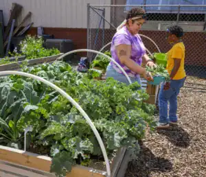 Two people in a community garden, one wearing a colorful shirt holds a basket of greens while the other stands nearby, both engaged in gardening activities. Lush plants surround them in raised beds.