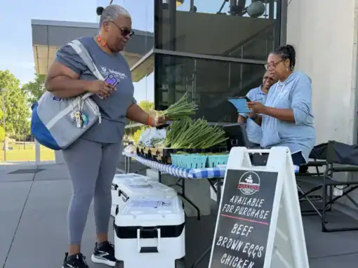 A woman inspects fresh produce at a market stall, while another woman handles paperwork. A sign lists items for sale, including beef, brown eggs, chicken, and pork.