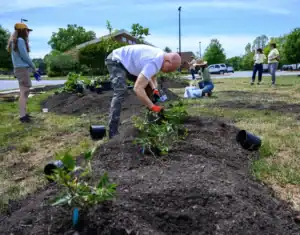 People participate in a planting event, working in a garden area with new plants, soil, and gardening tools. Several individuals are actively planting and organizing the area.