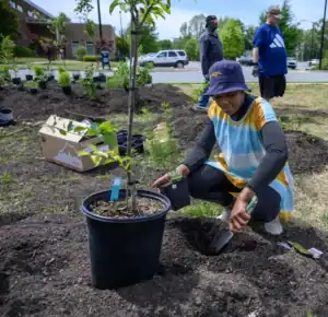 A person digs a hole in the soil, preparing to plant a small tree, while others stand nearby in a garden area with various plants and flower pots.