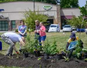 A group of volunteers plants flowers and shrubs in a grassy area, with pots nearby. Some people stand by, observing and discussing the planting activity under a sunny sky.
