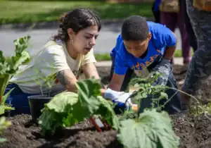 A young woman and a boy work together in a garden, planting seedlings. The woman, wearing a light shirt, focuses on the task as the boy, in a blue shirt, assists with a small hand tool. Surrounding them are various plants.